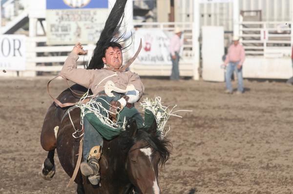 FlatheadRodeo's tweet image. up close and personal