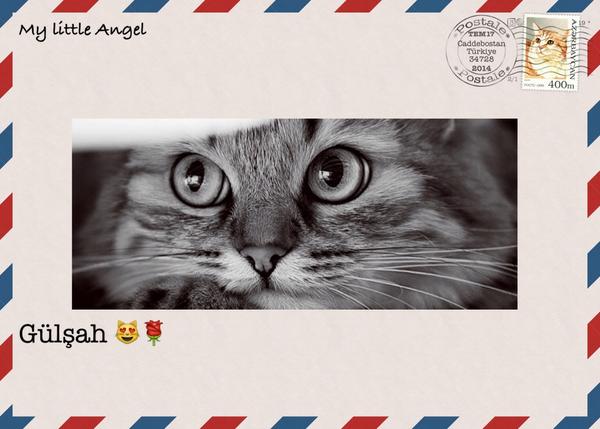 NilgunArica's tweet photo. My little Angel #postale@gulsahergin2 http://t.co/hGkHf1j4pQ