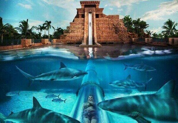 _Paisajes_'s tweet photo. RT si serías capaz de tirarte desde este tobogán. http://t.co/FfC5eWKRDl