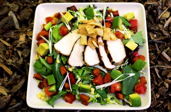 Haven't eaten? Try our southwest free-range chicken salad, accompanied by a spicy jalapeño-cilantro yogurt dressing