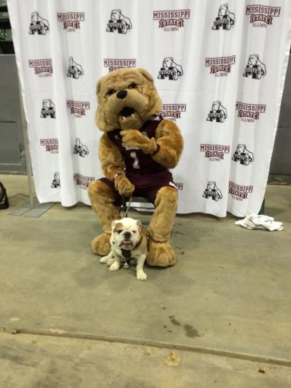 HailStateMascot's tweet image. Come find me and Champ at the Jackson Extravaganza #HailState #GoDogs