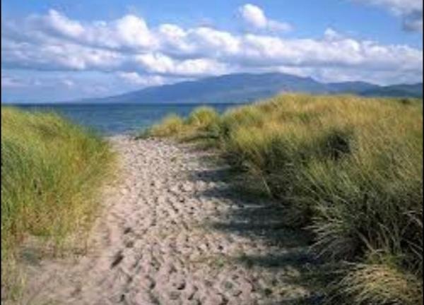 SeanFlanagan4's tweet image. #CastleG #love #slowlydrifting