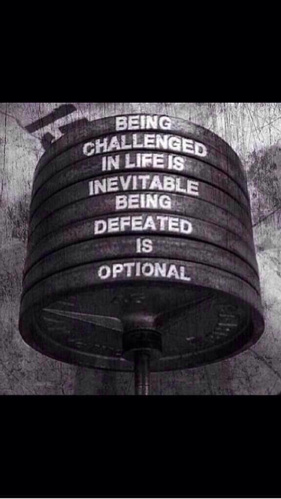 Nic_Cronin_'s tweet image. #diggingIn