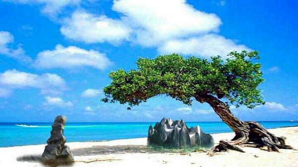 feeling # (@jsoondu) on Twitter photo 