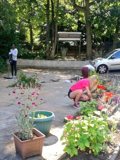NCS_IMPACT's tweet photo. Working hard in the garden at Forest Lodge Care Home! #Ncs #teamIMPACT #Shareyoursummer http://t.co/Ael2Iaes39