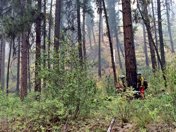 BonnieMShelton's tweet photo. On @KTVB at 6 meet some of the firefighters protecting homes near the #WhiskeyComplex. How they're staying safe, too. http://t.co/OutgN2wH5P