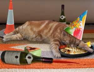 WinstonTabby's tweet image. Tabby down! tabby doowwnnn  #nipclub @kingtuttifruiti @ShaynaCat @Doggymolly