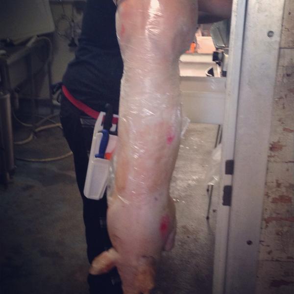 This piggy shouldn't have gone to market.