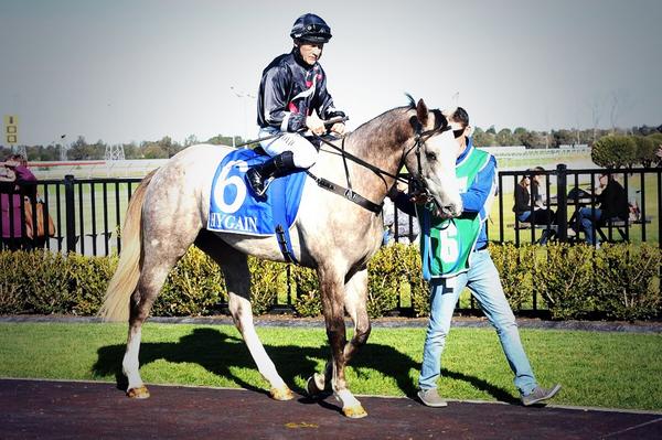 yprsydney's tweet image. Leading hoop @mcacajamez booked on KHAPTIVATA at Canterbury Wed 23 Jul #Owner4aDay #secondup ypr.com.au/news-events/