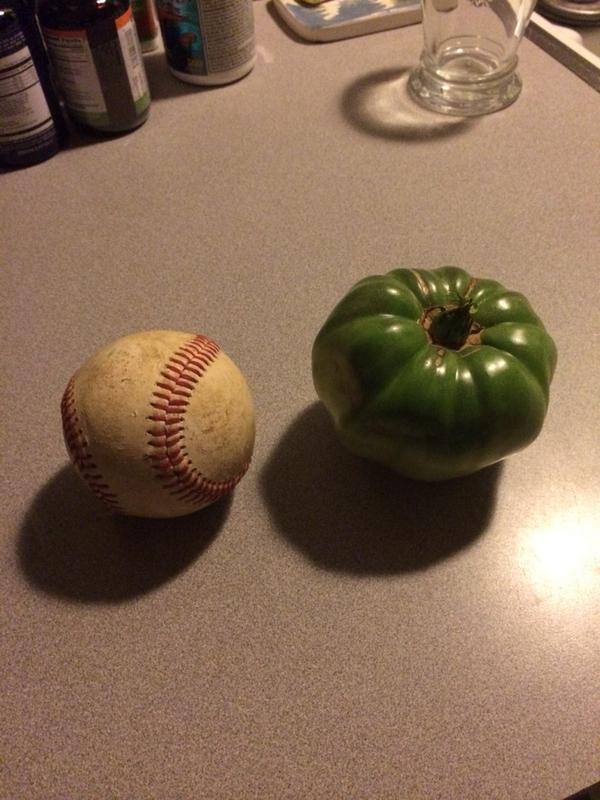 ClassicMP's tweet image. #Homegrown. Just a little bigger than a baseball. #DontKnowHow
