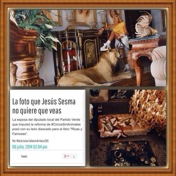 mercedesportuga's tweet photo. @angiemty25 @axel_catillo @carlitosguilla @GUIED @arge_galicia tu preocúpate por esto nena! http://t.co/3AqrNwTEsa