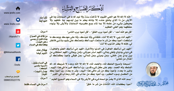 MohamadAlarefe tweet picture