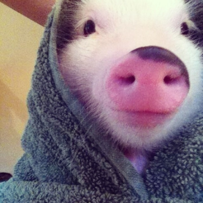 OMFGWorld's tweet photo. After shower selfie: http://t.co/vKTVQ66oo3