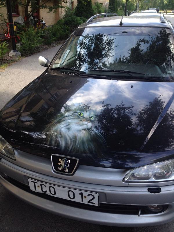 chrissmids's tweet photo. Om du behöver stripa bilen! #pussywagon http://t.co/Jzk3MtxeoT