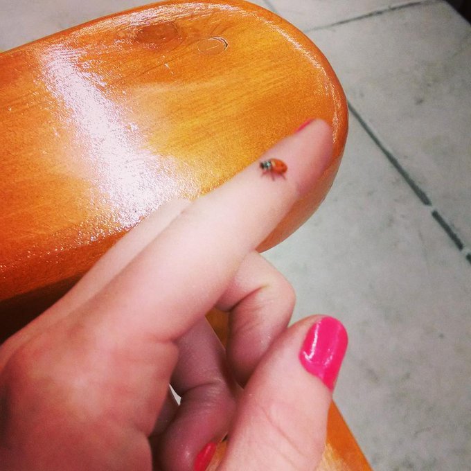 Found this little guy crawling on my boob. Going to be a good night I think. Where you at Albuquerque<a href="/tag/letsrock"class="tags"><span>#letsrock</span></a>