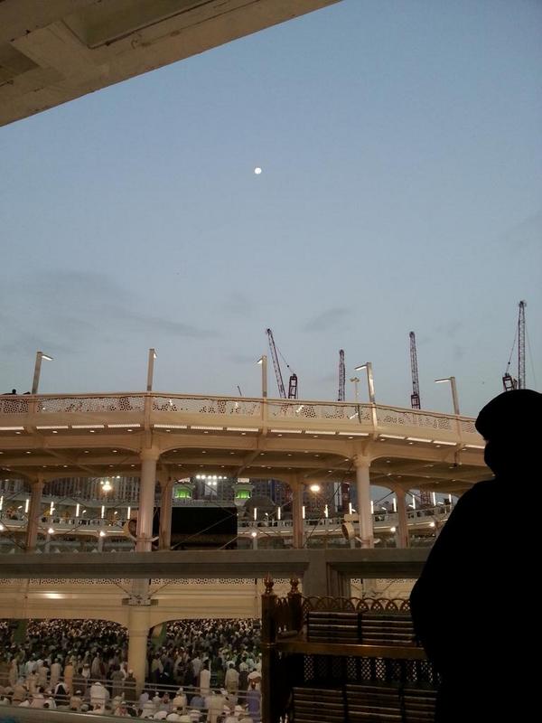 QueenMaryISoc tweet media