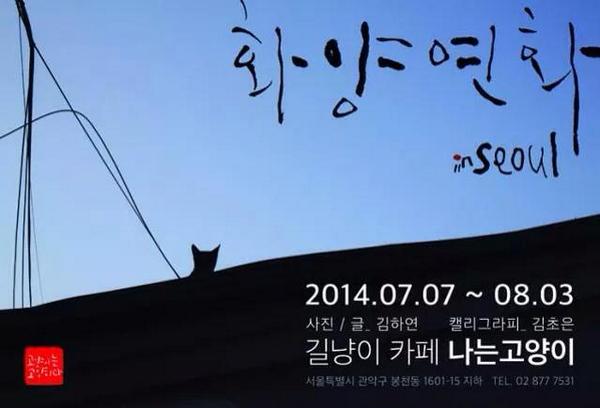 linneaKim's tweet photo. 서울 '화양연화' 전시회. 고양이도 보고 전시도 보고. 재밌겠다!
여기서 보고 퍼온 것. https://t.co/HTCzkBPgg3 http://t.co/wDRpZhgPqn