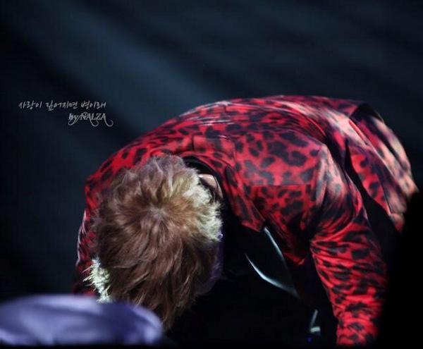 Permalink imagine încorporat