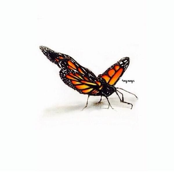 Amazing butterfly #drawing.