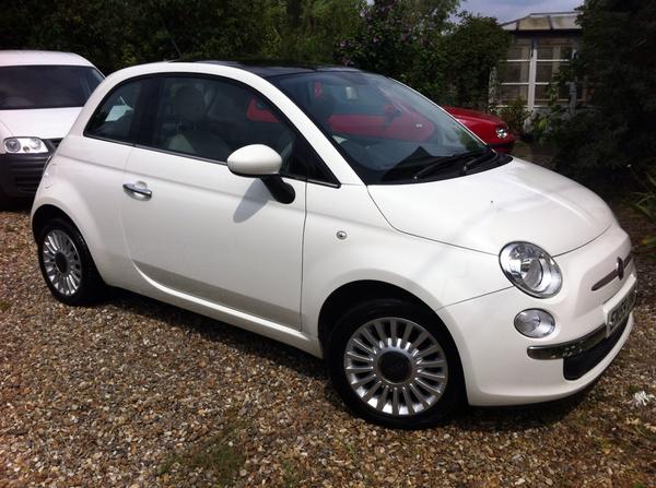 _TheBlueWizard's tweet image. This little chap was looking a tad tired on arrival, it was great to bring it back to life!