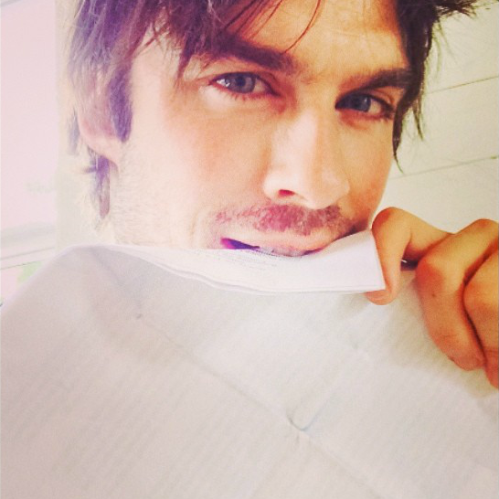 MTVBrasil's tweet image. Cuidado com o pescoço porque tem vampiro chegando! Vai começar a maratona da quinta temporada de #VampiresNaMTV.