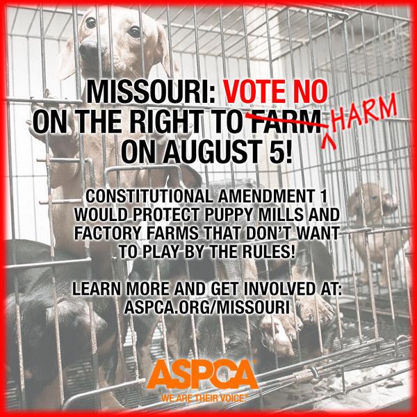 Aspca Mo Amendment 1 Would Protect Puppy Mill Operators And Factory Farms Join Us Votenoon1 Http T Co Mpdqkbovwg Http T Co Fl6oosv18s Aspca Mo Amendment 1 Would Protect Puppy Mill Operators And Factory Farms Join Us Votenoon1 Http T Co Mpdqkbovwg Http T Co Fl6oosv18s