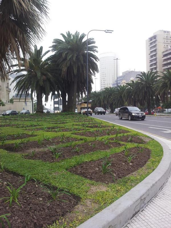 habychuela's tweet photo. @alertuxbsas en capital federal no se ve nada mucha #niebla en aeroparque desvían los vuelos http://t.co/XlwldYPgba
