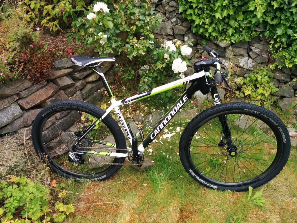 cannondale f29 team 2014