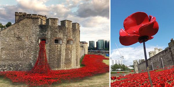 888,246 Poppies Pour Like Blood From The Tower Of London To Remember The Fallen Soldiers O... fplus.me/p/8wMP/5273c4fb