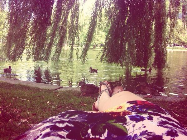 Making all sorts of new friends in the city #MakeWayForDucklings #BostonAdventures