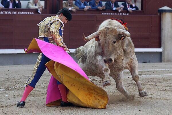 RRRafaelillo's tweet photo. #BuenasNoches http://t.co/zsQvvdgnup