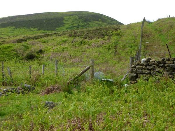 ScarbRamblers's tweet image. Superb twin hills of #Hawnby and #Easterside @northyorkmoors await Scarborough Ramblers on Sunday. @RamblersGB