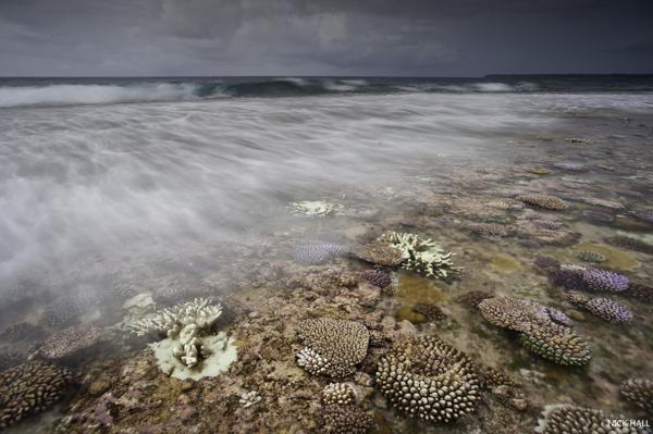 nature_org tweet picture