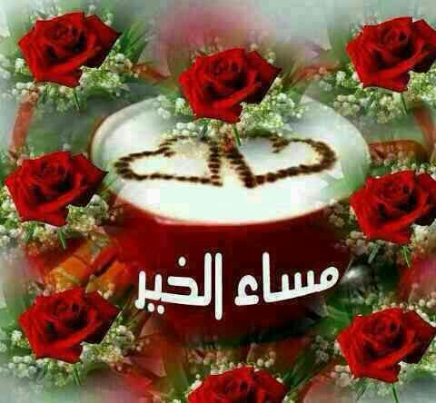 ygaus11's tweet photo. @anoo18866 http://t.co/CSbQNpjkoi
