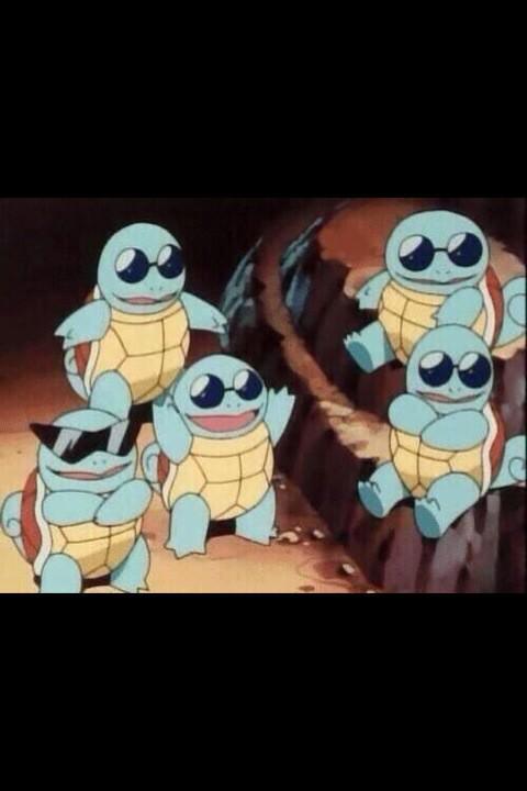 PokemonThingsss tweet picture
