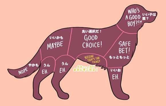 ペット動物の撫でると喜ぶ部位はこれっ これを理解していないと危ないぞ 話題の画像プラス