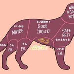 ペット動物の撫でると喜ぶ部位はこれっ...これを理解していないと危ないぞ!