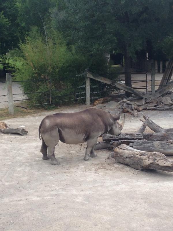 Kazan Soul tweet media