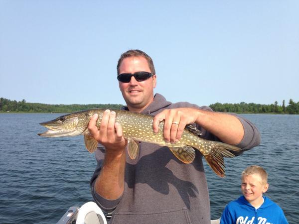 I'd say that was a success!!  Great day fishing!  #lakemantrap  #bigpike  Boys had a TON of fun!  #touchthefishcody