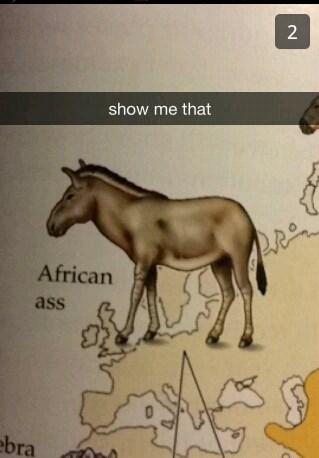 WTFSnaps's tweet image. Show me that...