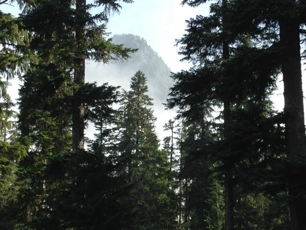 purifythyself's tweet image. Beginning hike of the season, short hike to the top of Cave Ridge, near Snoqualmie Pass, Washington.