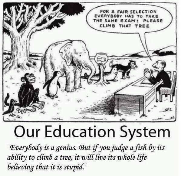 Our education system: