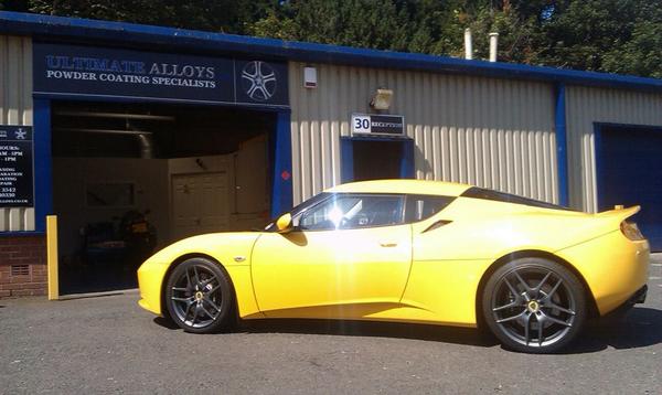 A beautiful Lotus visits