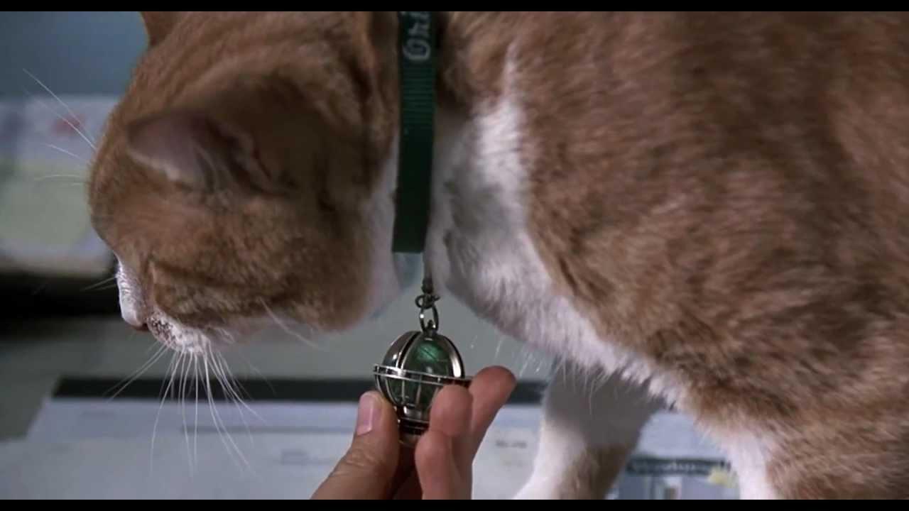 onlyastoner on X men in black still got me thinkin this whole universe is just a marble on a cat s collar. http t vl32M18MFI X