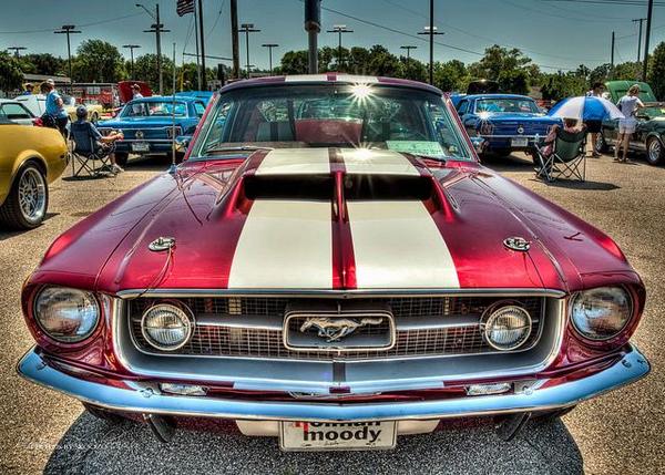 CailliouNation's tweet photo. What I'd do for you #mustang #fastback #perfection http://t.co/OP3pbZ3kbb