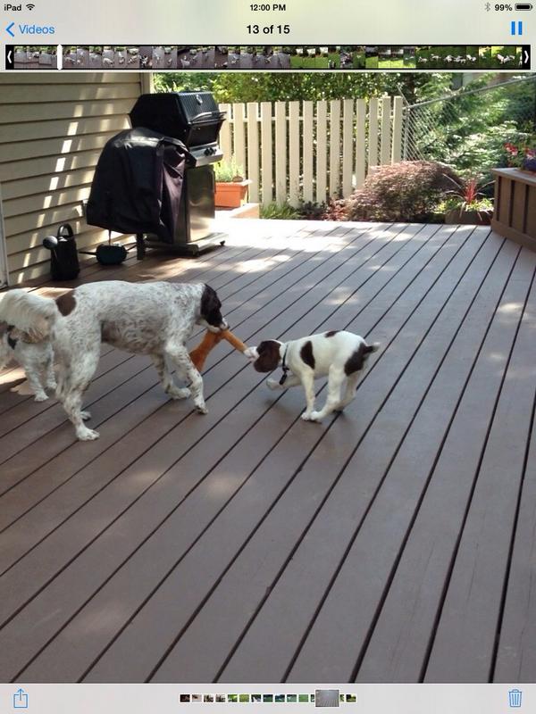 daisy duke tweet media