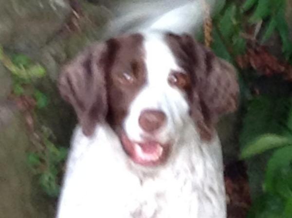 daisy duke tweet media