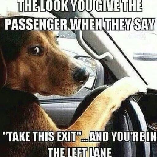 CamoHuntress's tweet photo. Grrr... #PetPeeves #SoAnnoying #NoPun #TooFunny http://t.co/Axo4mWsJQ6