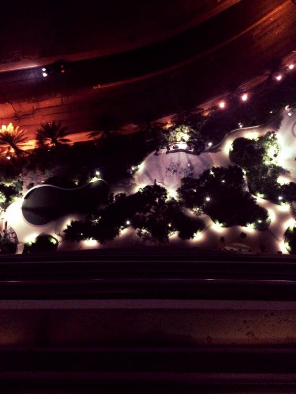 yupchronicles's tweet image. I wonder if I yell @ChanellOliver from my balcony....... Will anyone hear it? 
#DoriChronicles