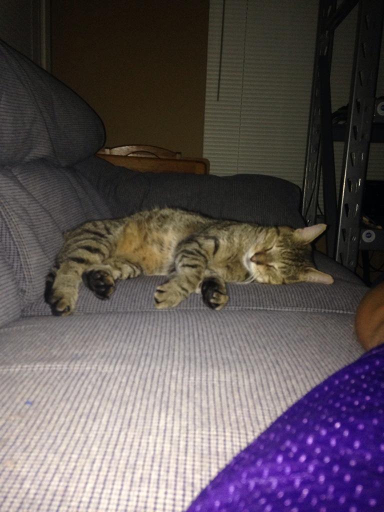 Embedded image permalink